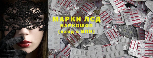 гидра Зеленодольск