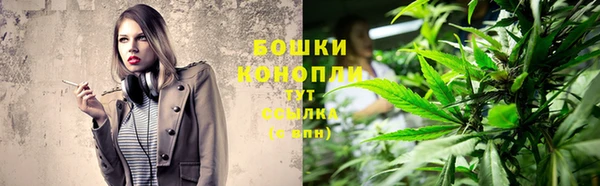 гидра Зеленодольск