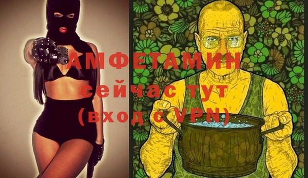 гидра Зеленодольск