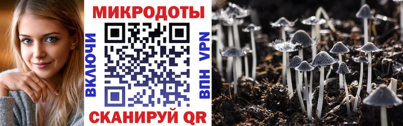 Купить где  Киселёвск  Псилоцибиновые грибы GOLDEN TEACHER 